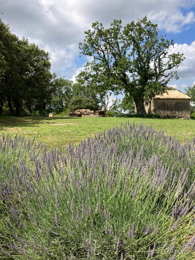 La Bastide Des Roman Villa Vernegues Екстериор снимка
